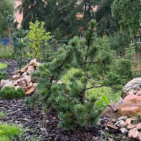 Sloneczna Polana Apartmán