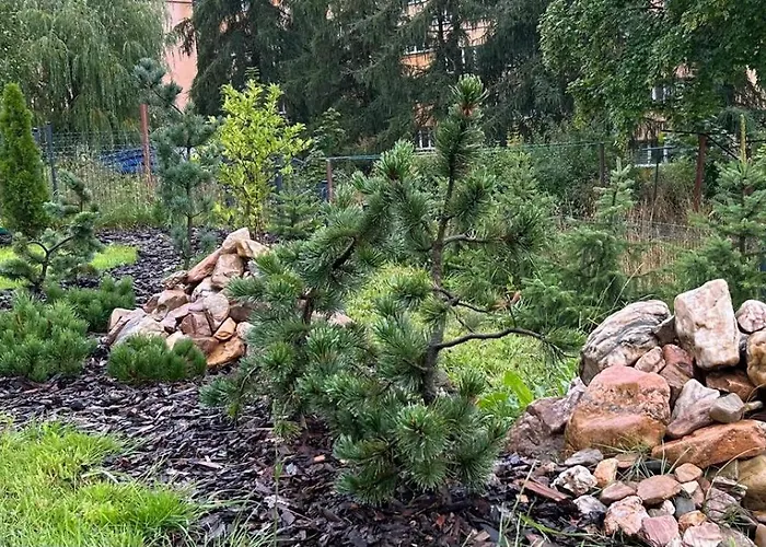 Sloneczna Polana Lejlighed